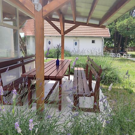Mirella Rooms Palic Exterior photo